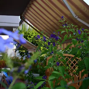 Domus Socolatae Apartments&suites Follonica
